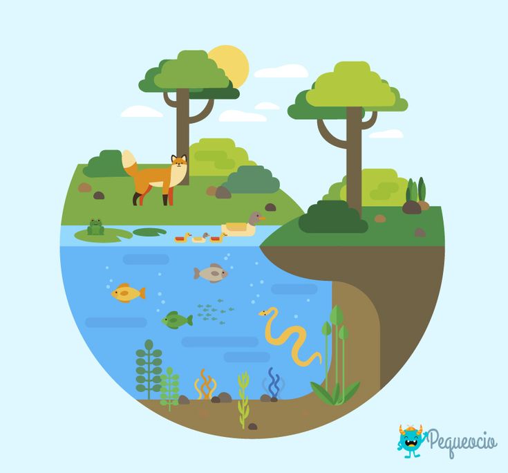 La Tierra como Ecosistema