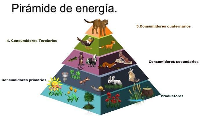 Pirámide de Energía
