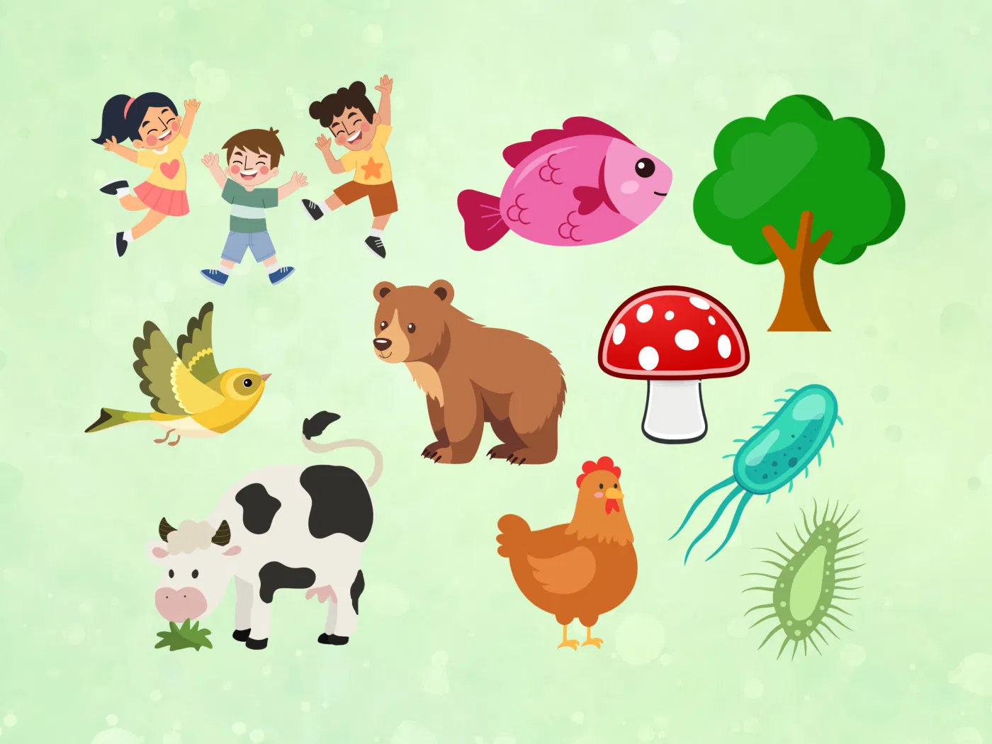 El Rol de los Seres Vivos